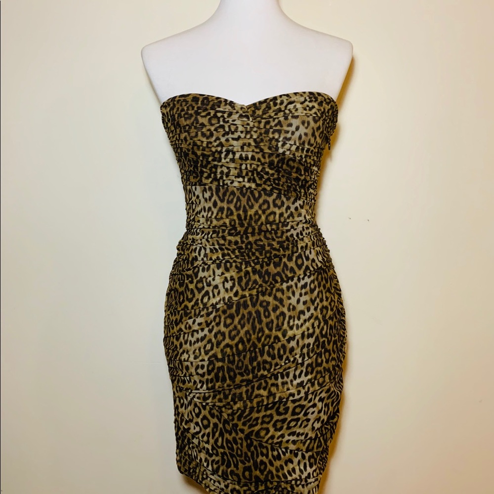 BCBG Leopard dress